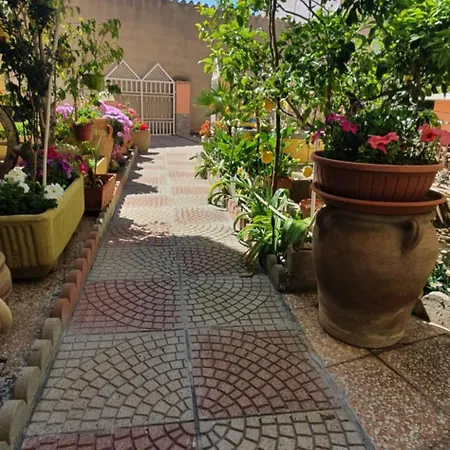 Guest house Sofy 4*